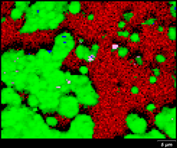 Raman image of stained mirror showing presence of silver chloride glass carbon and mixture cristobalite and magnesite
