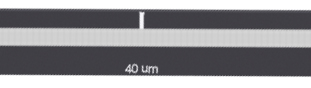 RCLC scale