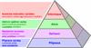 Pyramida produktivního procesu™